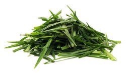 lawncare-graphic Pile of freshly cut grass