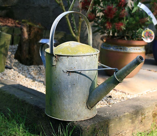 Rustic green watering can for gardening