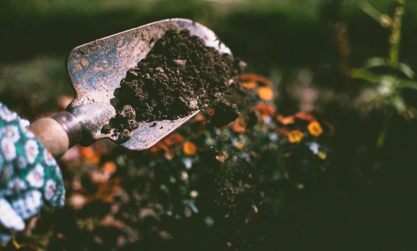 The Proper Way to Garden Compost