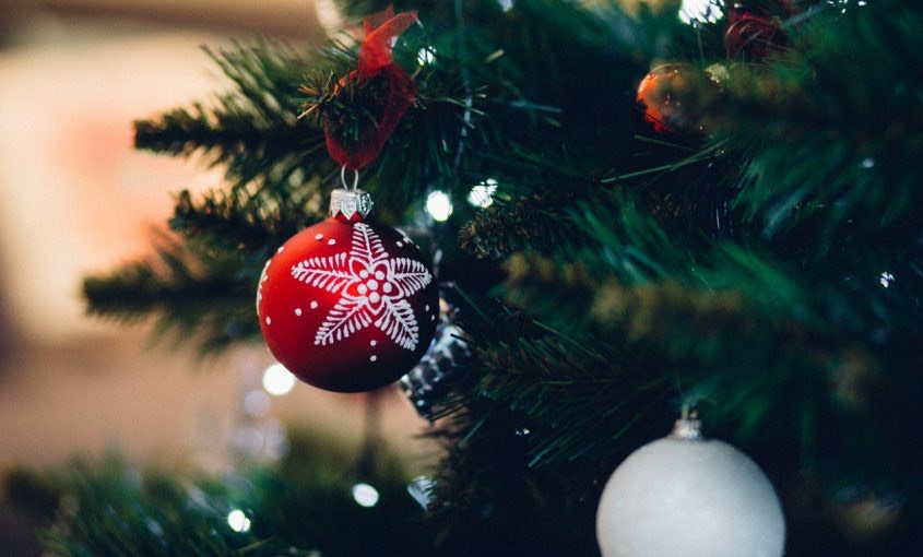 Outside Indoors: How to Care for Your Christmas Tree
