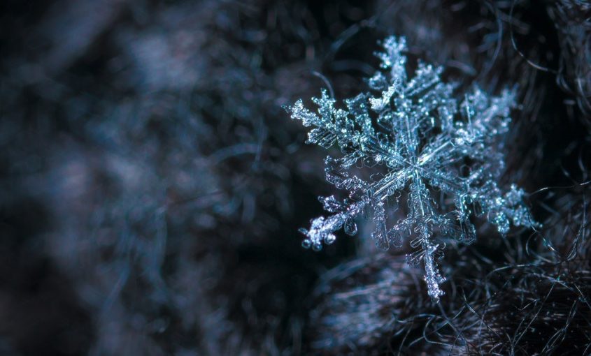 Lawn Aeration in the Winter