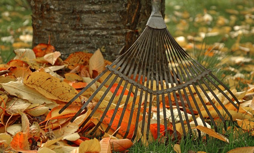 Winterizing Your Lawn