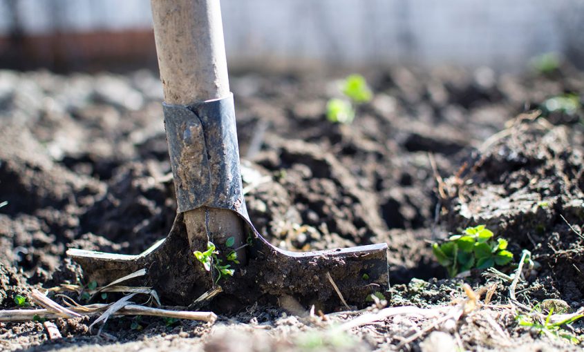 Is Your Yard Still Frozen?