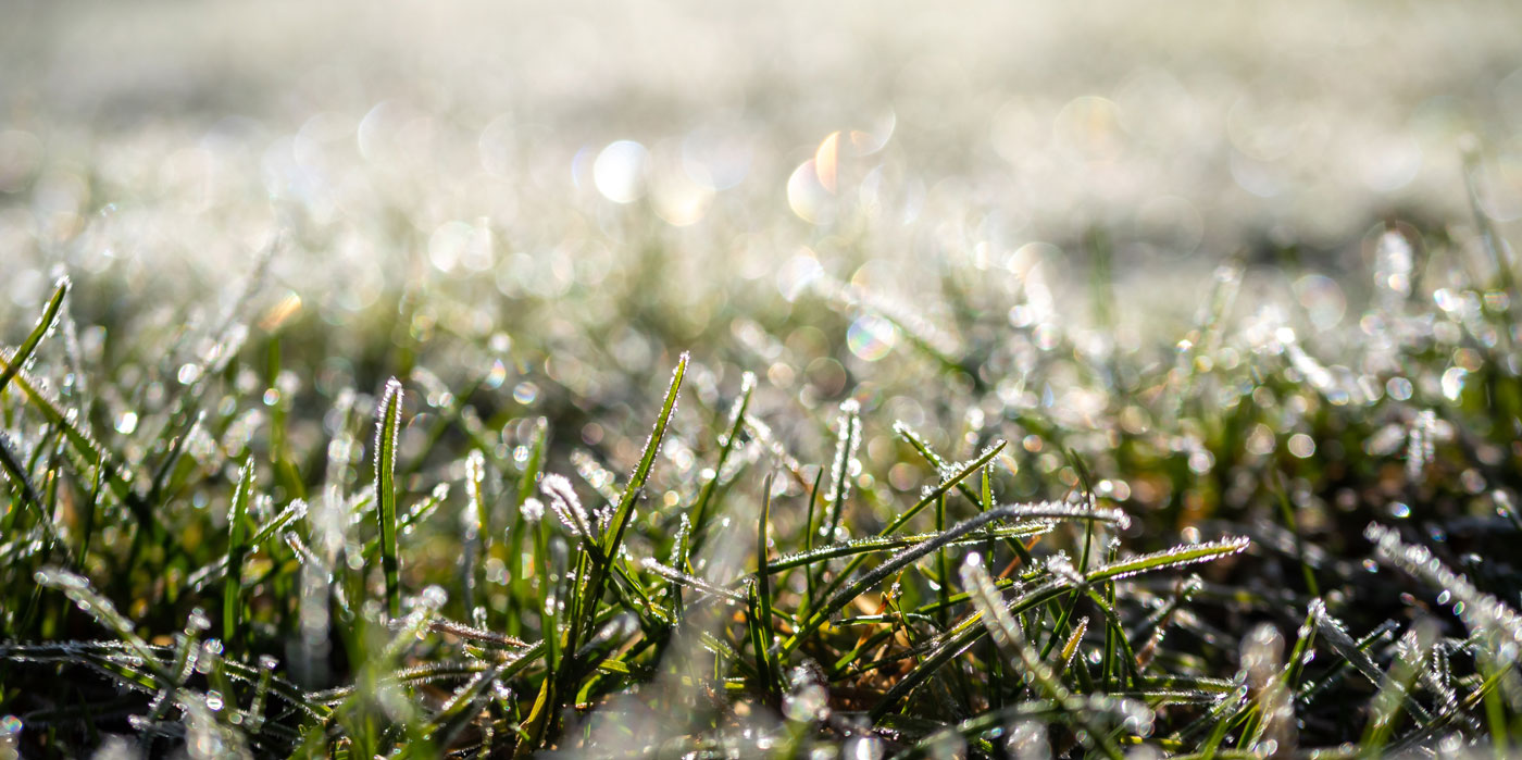 Preparing Your Lawn for Snow: Tips for Winter Lawn Protection